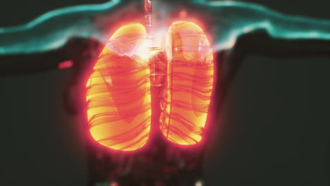Hologram-of-inflamed-lungs-in-the-human-body