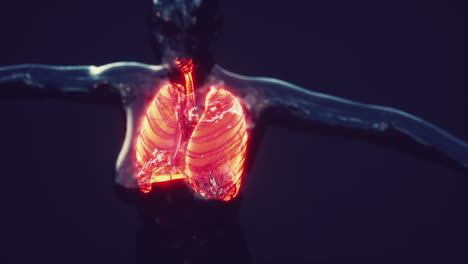 Hologramm-Einer-Entzündeten-Lunge-Im-Menschlichen-Körper