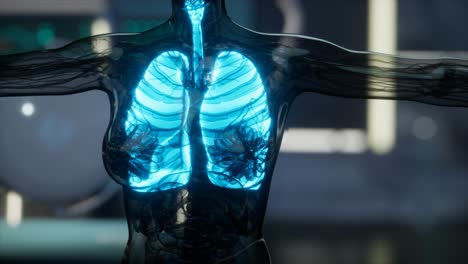 Radiologieuntersuchung-Der-Menschlichen-Lunge-Im-Labor