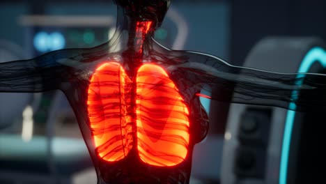 Radiologieuntersuchung-Der-Menschlichen-Lunge-Im-Labor