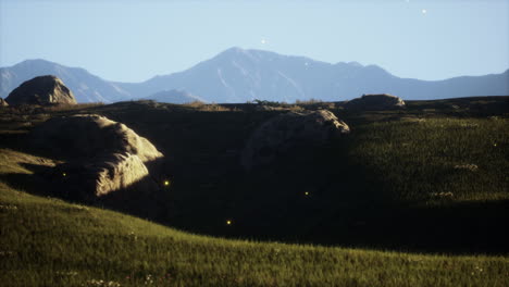 Grüne-Wiese-Auf-Dem-Hintergrund-Der-Berge