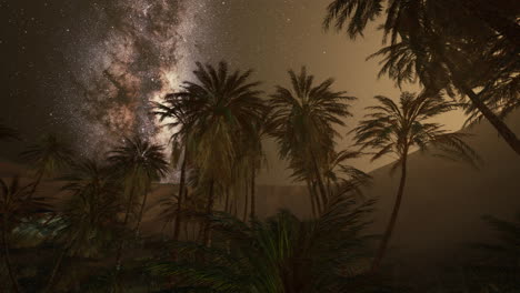 Starry-night-sky-against-with-coconut-palm-trees