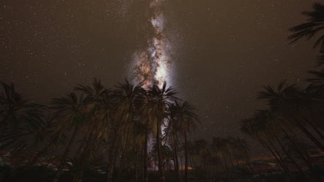 Night-shot-with-palm-trees-and-milky-way-in-background