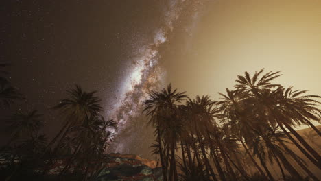 Die-Milchstraße-Erhebt-Sich-über-Palmen