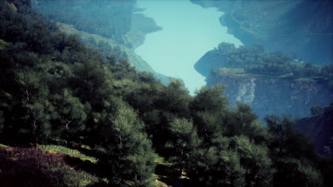 Paisaje-De-Campo-Escénico-Con-Valle-De-Montaña-De-Verano-Verde-Y-Bosques