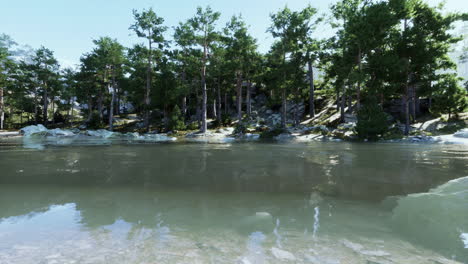 Blue-water-in-a-forest-lake-with-pine-trees