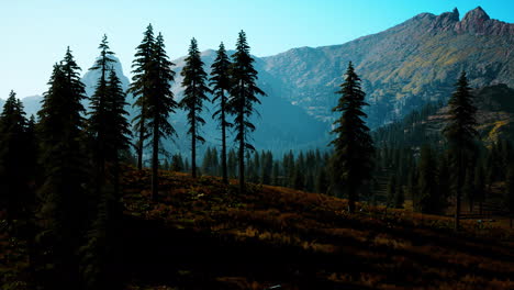 Vista-Del-Paisaje-De-La-Cordillera-Con-árboles-En-Otoño