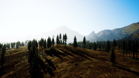 Cordillera-Rocosa-Con-árboles