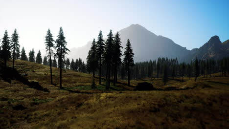 Cordillera-Rocosa-Con-árboles