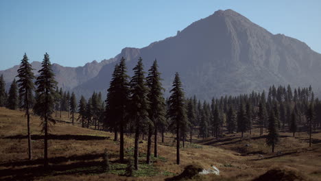 Landscape-view-of-the-mountain-range-with-trees-in-the-fall