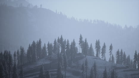 Winter-landscape-in-Semenic-mountains