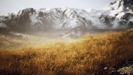 Hierba-Seca-Y-Montañas-Cubiertas-De-Nieve-En-Alaska