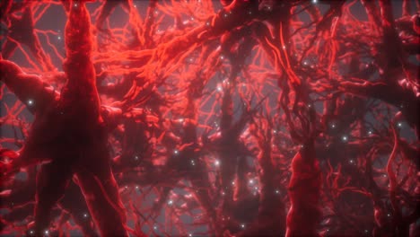 Viaje-A-Través-De-Una-Red-De-Células-Neuronales-Dentro-Del-Cerebro