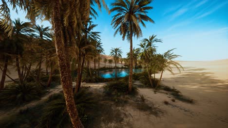 oasis-with-palm-trees-in-desert