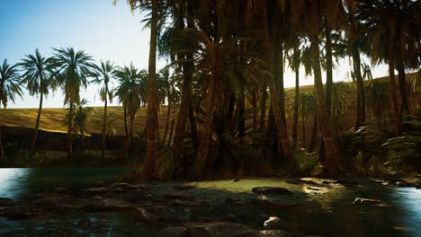 Palm-Trees-in-Sahara-Desert