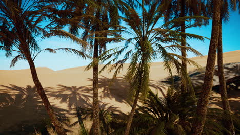 Palmen-Einer-Oase-In-Der-Wüstenlandschaft