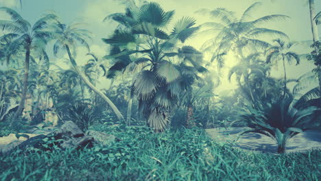 background-of-natural-palm-leaves-tree-branch
