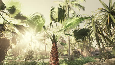Hintergrund-Des-Natürlichen-Palmblattbaumzweigs