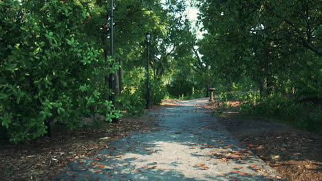 Empty-footpath-in-park-at-summer