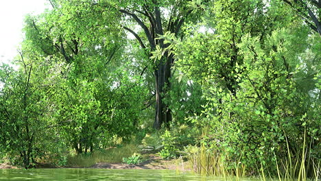 Summer-green-forest-pond-landscape