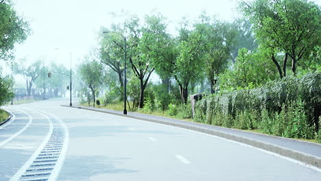 View-of-empty-road-with-lamp-post-and-sunlight