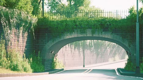 arch-bridge-with-living-bush-branches-in-park