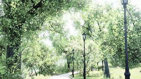 forest-park-road-scenery-in-green-countryside