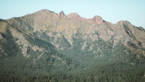 spruce-and-pine-trees-and-mountains-of-Colorado