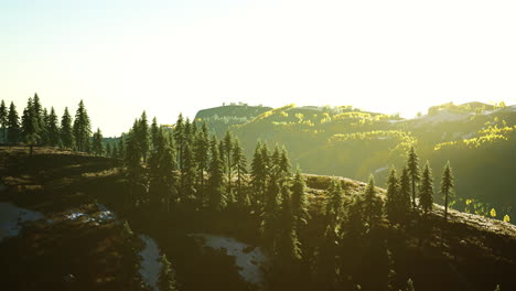 Mountain-valley-with-pine-forest-against-the-distant-ridges