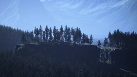 Immergrüner-Tannenbaum-Und-Berge-Im-Hintergrund-Bei-Sonnenuntergang-Nach-Dem-Regen