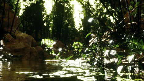 Bosque-De-Bambú-Verde-Cerca-De-Un-Pequeño-Estanque-Tranquilo
