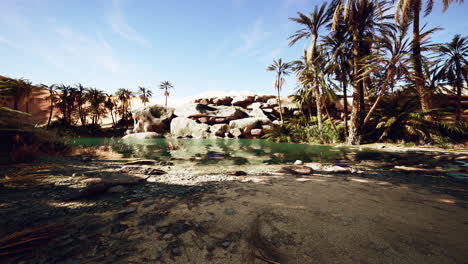 desert-oasis-lake-pond-with-palm-trees