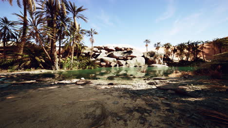 Eine-Wüstenoase-Im-Oman
