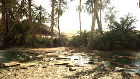 Pond-and-palm-trees-in-desert-oasis