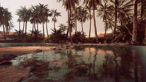 Colorful-scene-with-a-palm-tree-over-a-small-pond-in-a-desert-oasis
