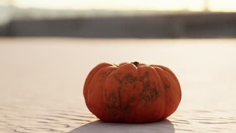 Halloween-Pumpkin-on-the-beach-dunes