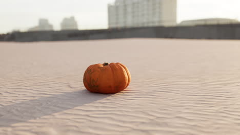 Halloween-Kürbis-Auf-Den-Stranddünen