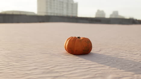 Halloween-Pumpkin-on-the-beach-dunes