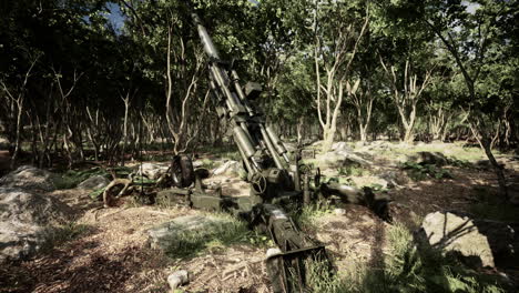 big-gun-cannon-in-the-forest