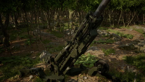 big-gun-cannon-in-the-forest