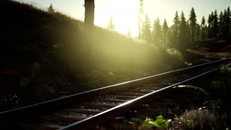 autumn-colours-along-a-railway-track-at-sunset