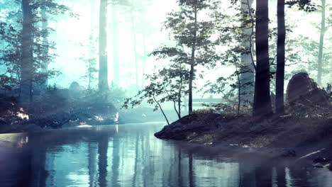 Teich-In-Einem-Wald-Mit-Nebel