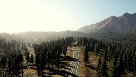 Natural-Aerial-view-on-the-road-and-forest-at-the-autumn-time