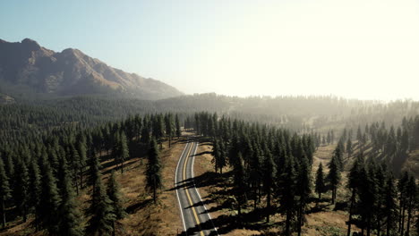 Aerial-view-on-a-winding-road-in-summer-day