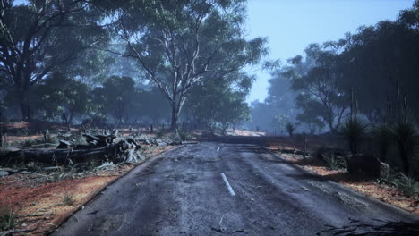 Camino-Que-Conduce-A-Través-De-Pequeñas-Colinas-En-El-Paisaje-De-Arbustos-Australianos