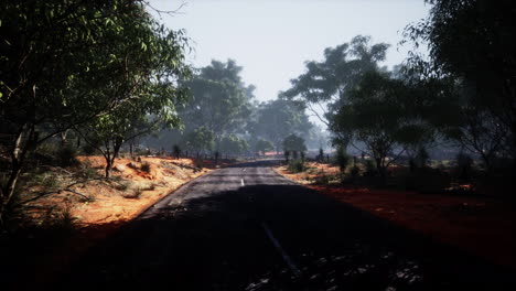Winding-road-crossing-the-savanna