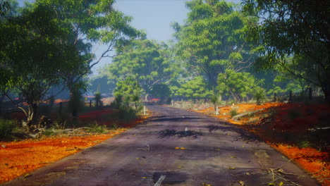 Carretera-Asfaltada-Que-Atraviesa-Las-Zonas-Rurales-De-Senegal