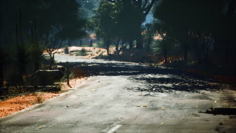 Winding-road-crossing-the-savanna