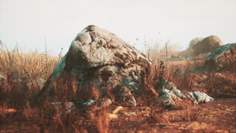 dry-grass-and-rocks-landscape