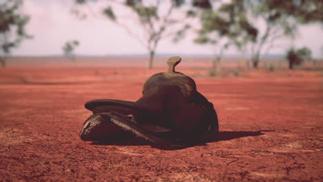 Old-decorated-mexican-saddle-lying-on-sand